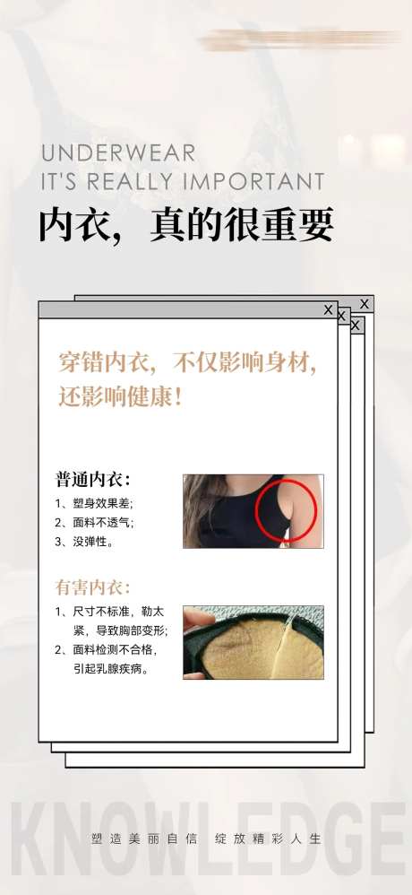 内衣小知识科普海报-采灵感-https://www.cailinggan.com/