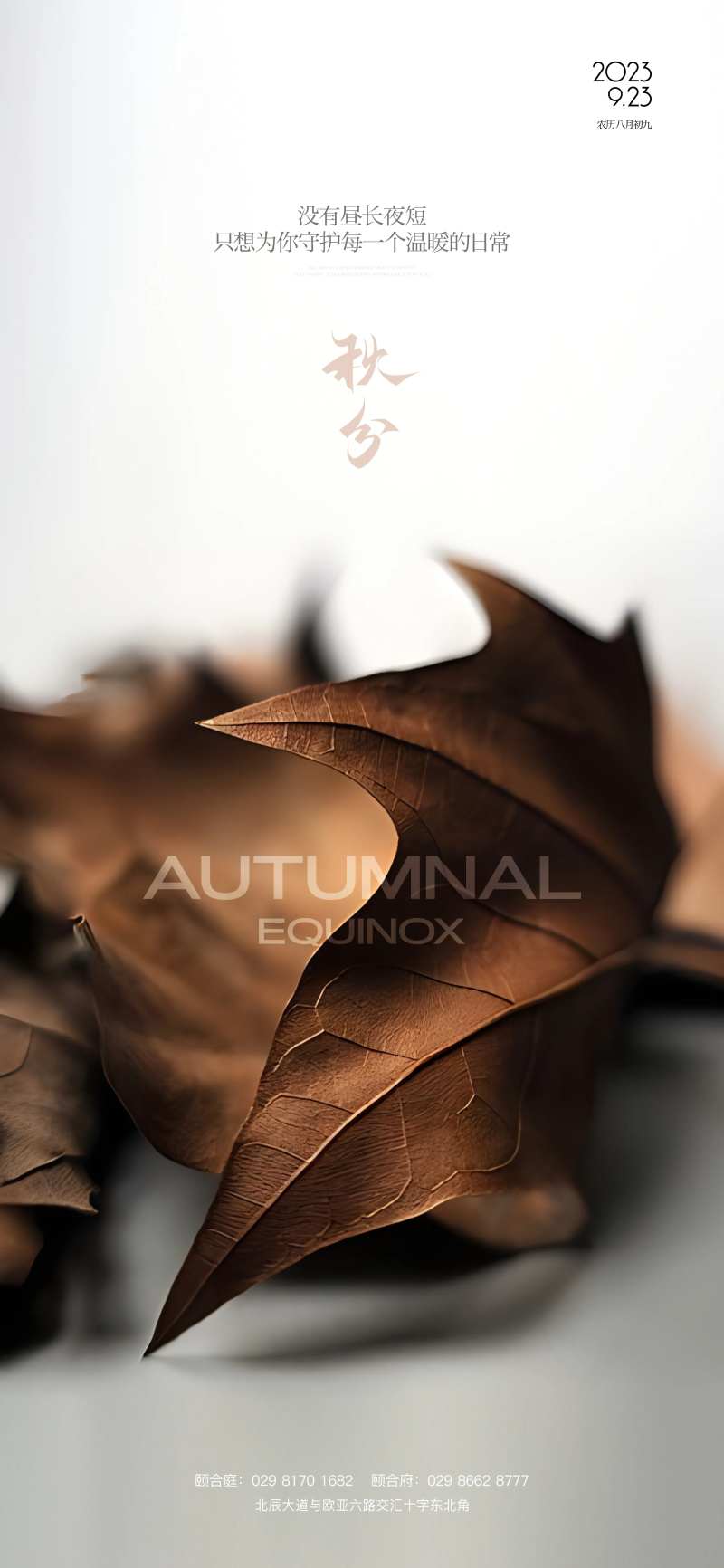 秋季单图-采灵感-cailinggan.com