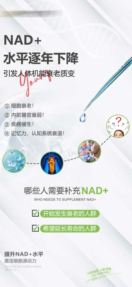 NAD+科普健康海报-采灵感-https://www.cailinggan.com/