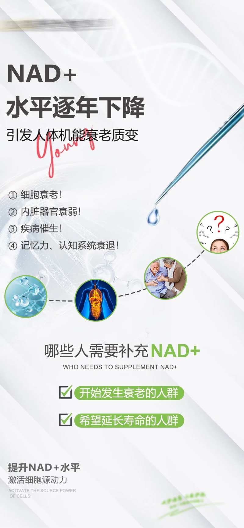 NAD+科普健康海报-采灵感-cailinggan.com