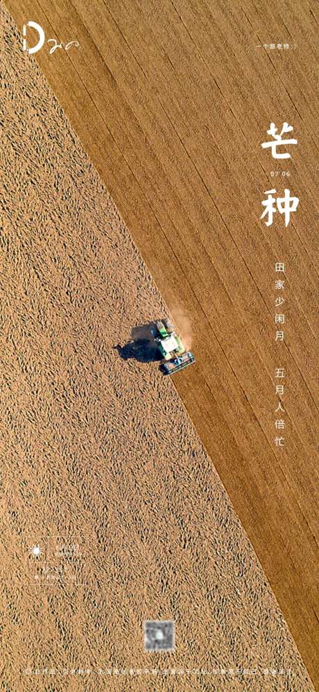 芒种节气农历节日移动端海报-采灵感-https://www.cailinggan.com/