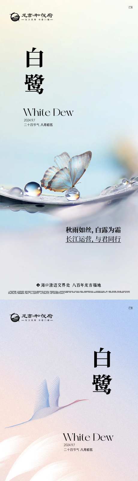 白鹭节气海报-采灵感-https://www.cailinggan.com/