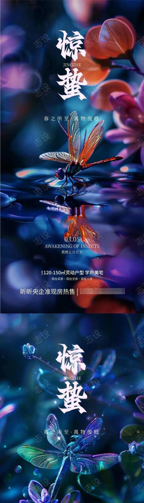 惊蛰蜻蜓节气海报-采灵感-https://www.cailinggan.com/