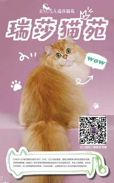 猫咪海报-采灵感-https://www.cailinggan.com/