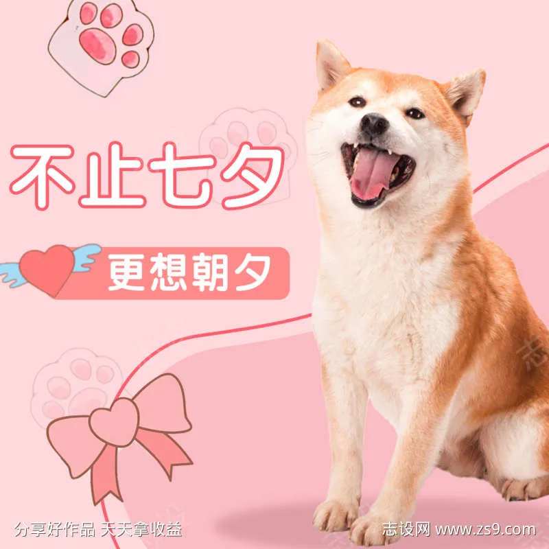 粉色简约宠物爱宠不止七夕海报-采灵感-cailinggan.com
