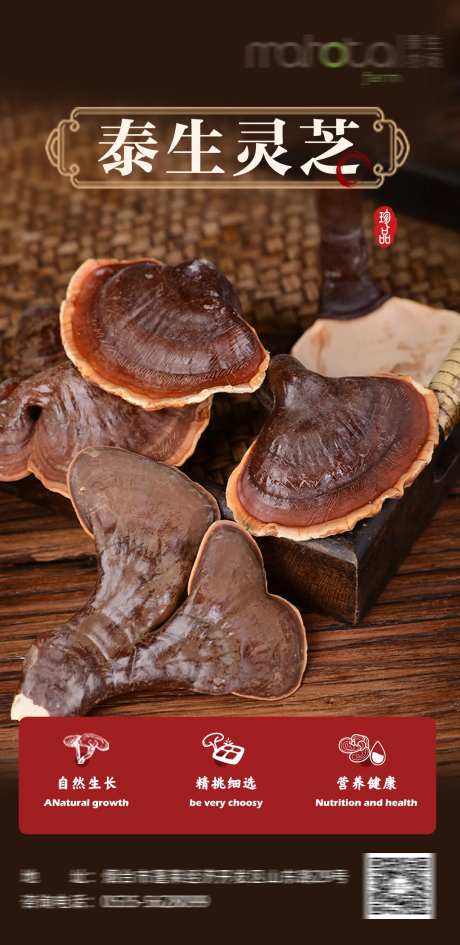 灵芝海报-采灵感-https://www.cailinggan.com/