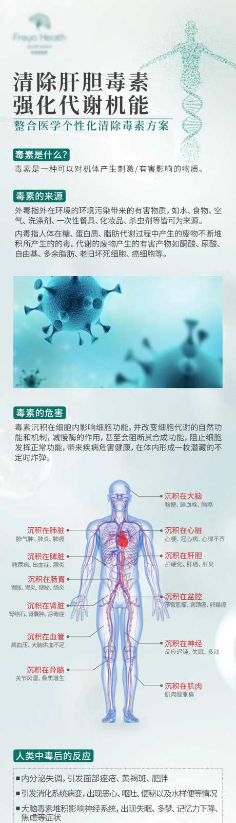 肝胆排毒抗衰长图-采灵感-https://www.cailinggan.com/