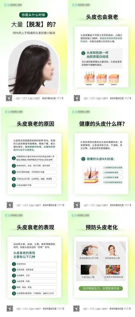 脱发养发科普系列海报-采灵感-https://www.cailinggan.com/