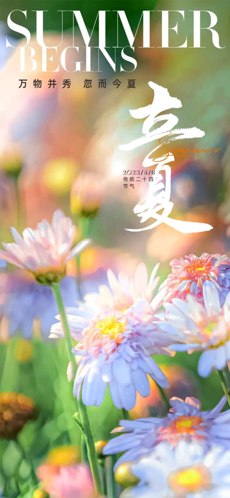 立夏节气海报-采灵感-cailinggan.com