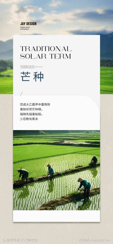 二十四节气芒种海报-采灵感-cailinggan.com