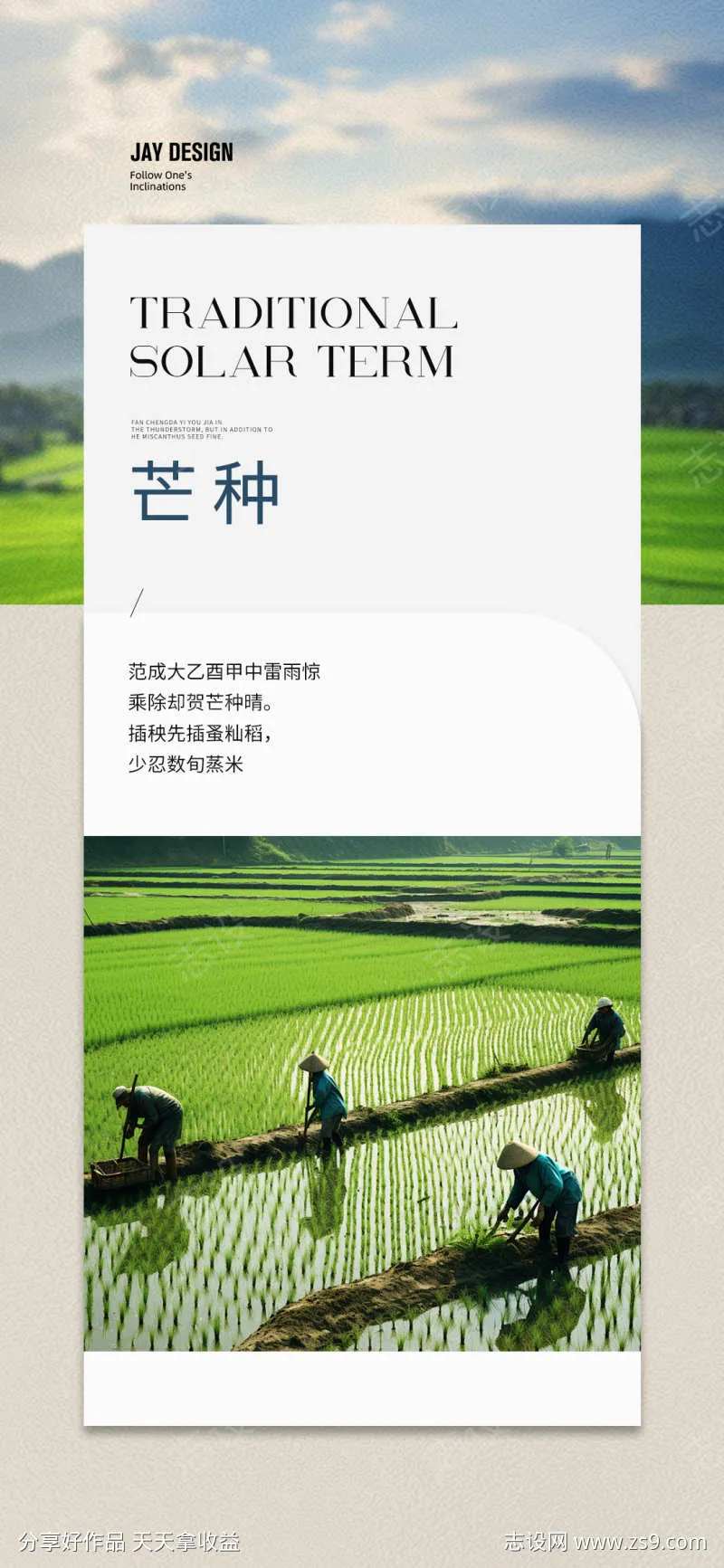 二十四节气芒种海报-采灵感-cailinggan.com