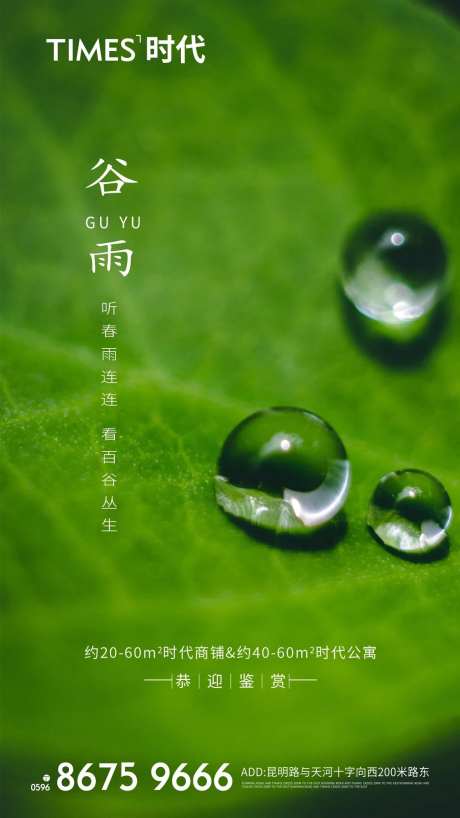 谷雨小雨-采灵感-https://www.cailinggan.com/