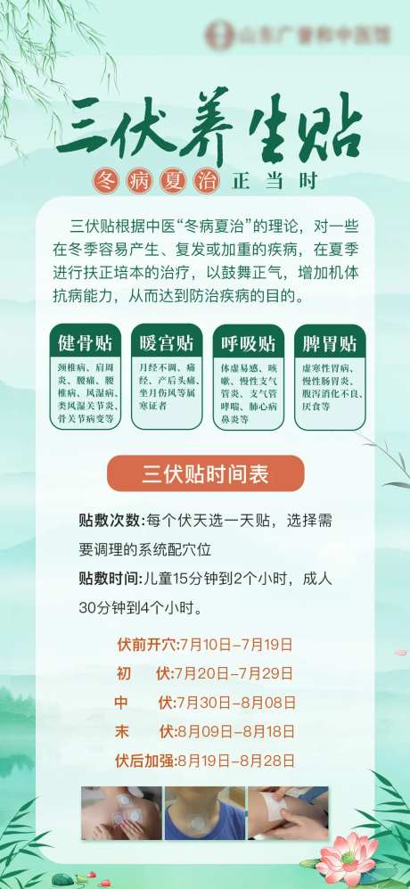 三伏贴科普-采灵感-https://www.cailinggan.com/