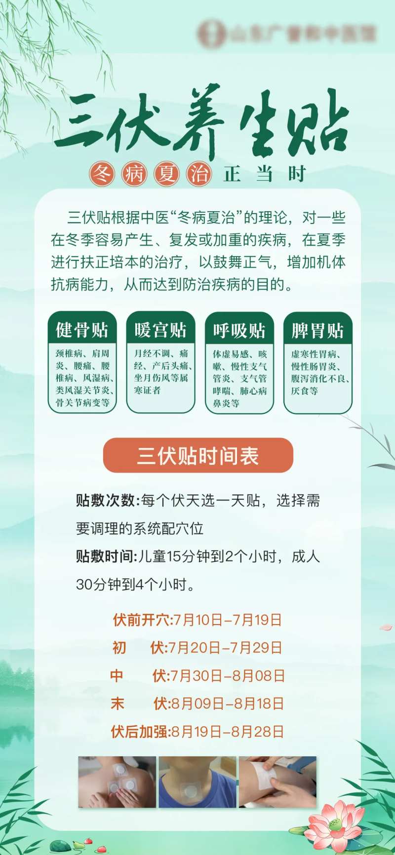 三伏贴科普-采灵感-cailinggan.com