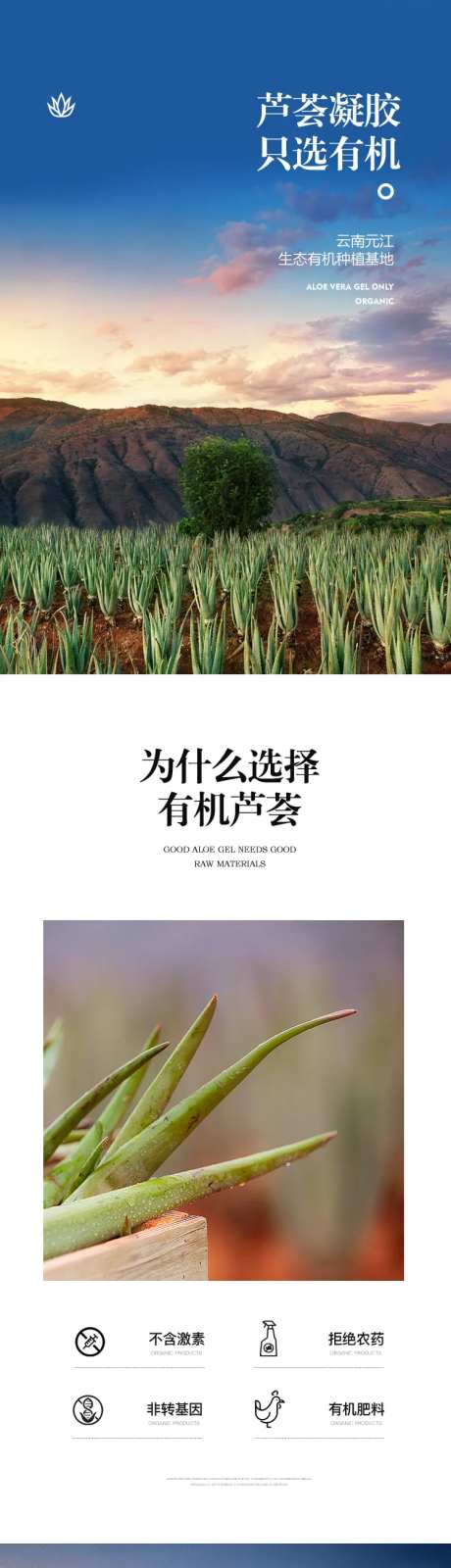 芦荟种植化妆品长图海报-采灵感-https://www.cailinggan.com/