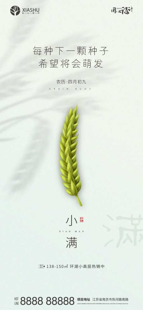 小满海报-采灵感-cailinggan.com