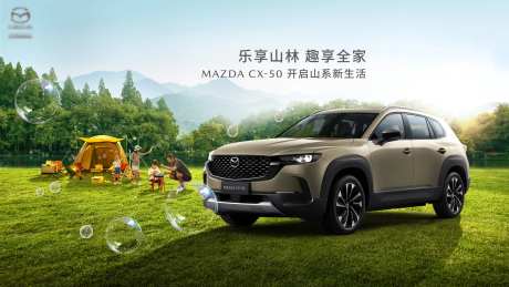 汽车户外野炊-采灵感-https://www.cailinggan.com/