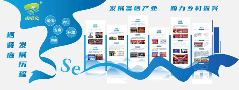 企业发展历程文化墙背景板-采灵感-cailinggan.com