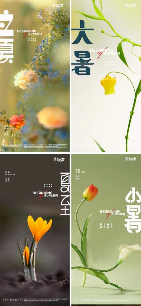 立夏夏至小暑大暑处暑24节气花卉海报-采灵感-https://www.cailinggan.com/