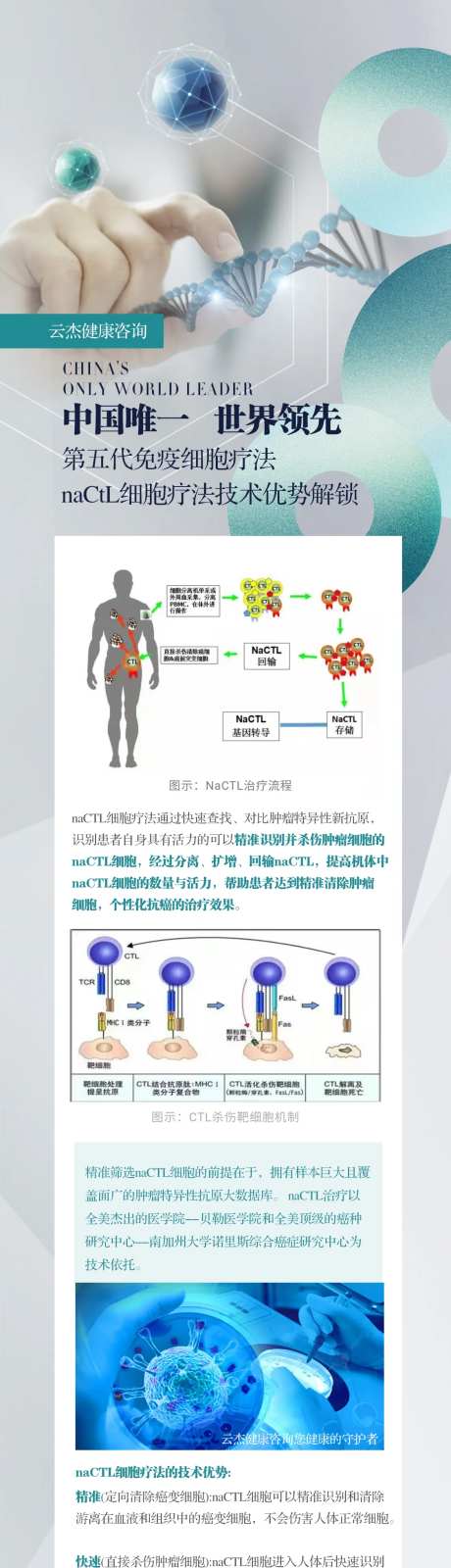 大健康免疫细胞海报-采灵感-https://www.cailinggan.com/