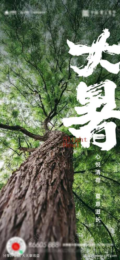 大暑小暑夏至立夏海报-采灵感-cailinggan.com