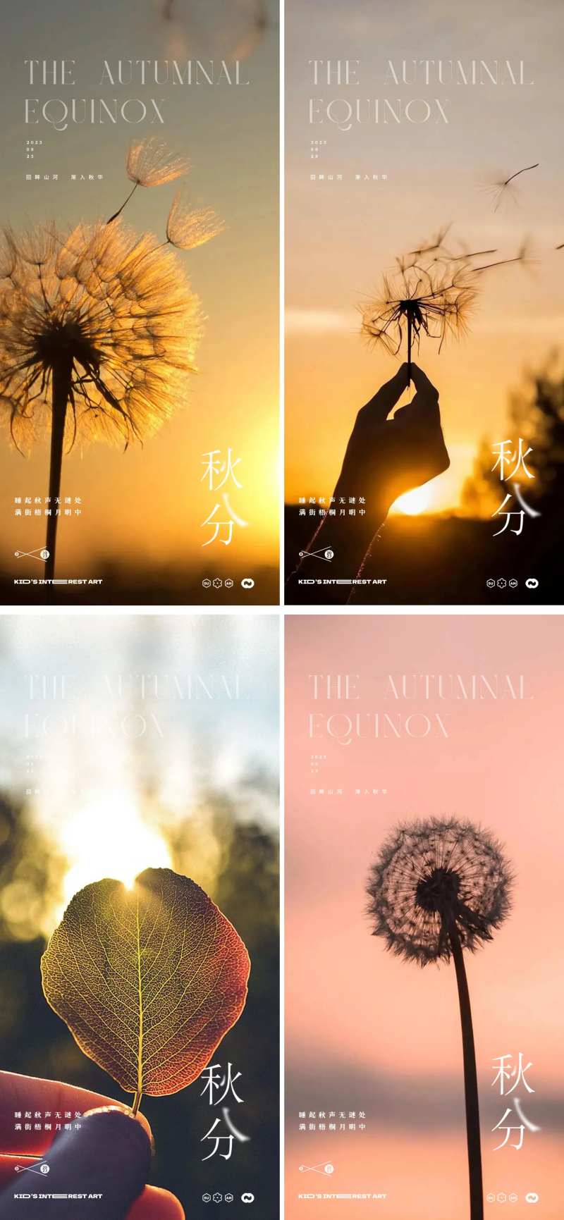 秋分24节气蒲公英系列海报-采灵感-cailinggan.com