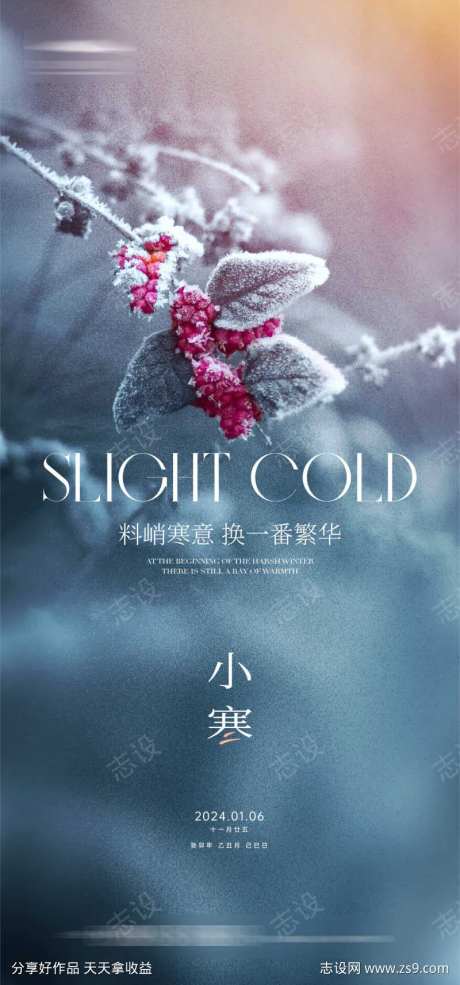 小寒意境海报-采灵感-https://www.cailinggan.com/