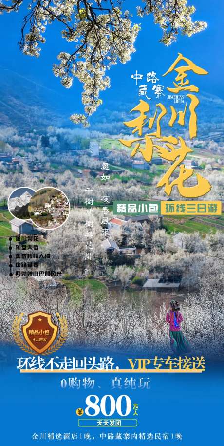 金川梨花旅游海报-采灵感-https://www.cailinggan.com/