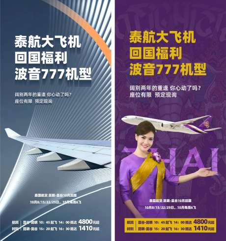 泰航大飞机机型海报-采灵感-https://www.cailinggan.com/