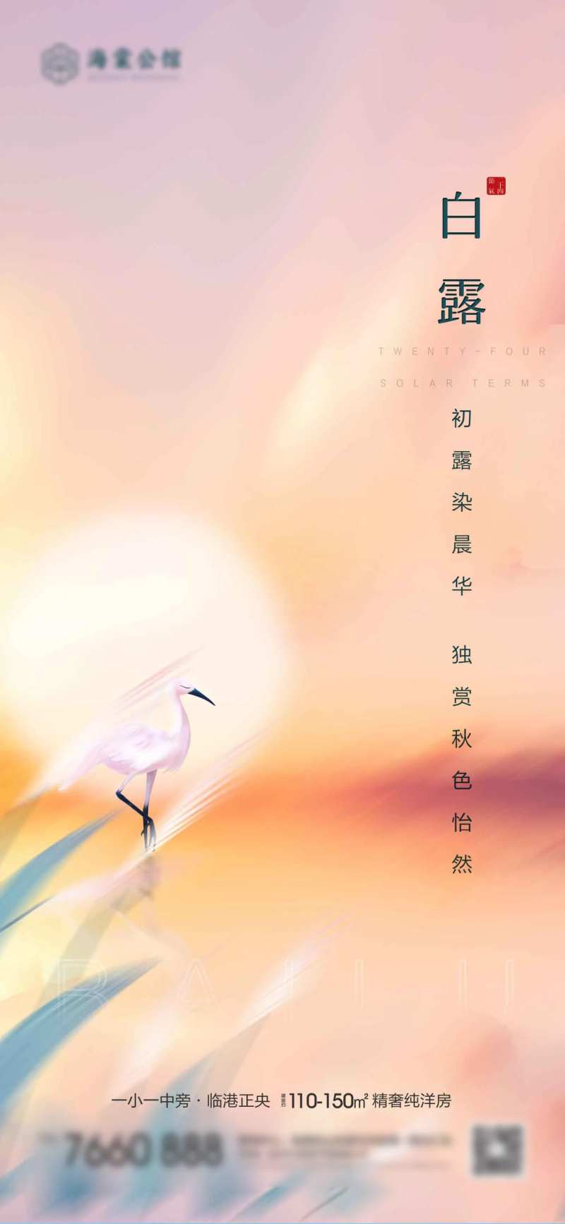 白露海报-采灵感-cailinggan.com