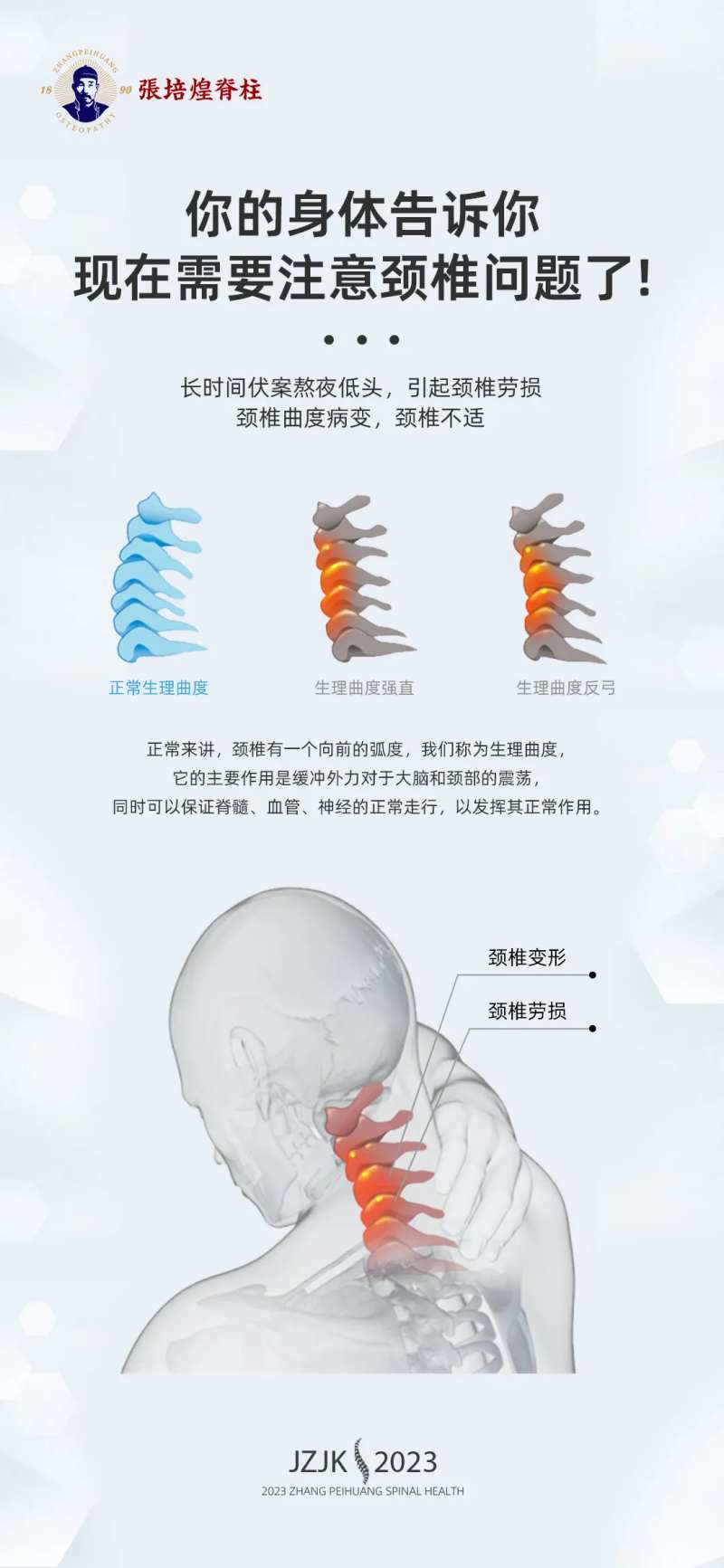 脊柱项目海报-采灵感-cailinggan.com