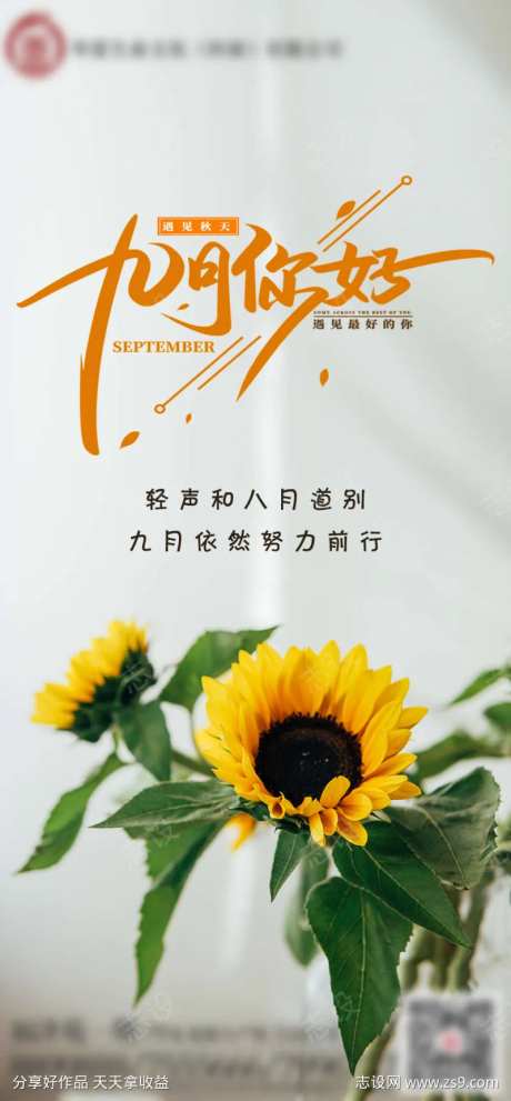 八月九月你好-采灵感-https://www.cailinggan.com/