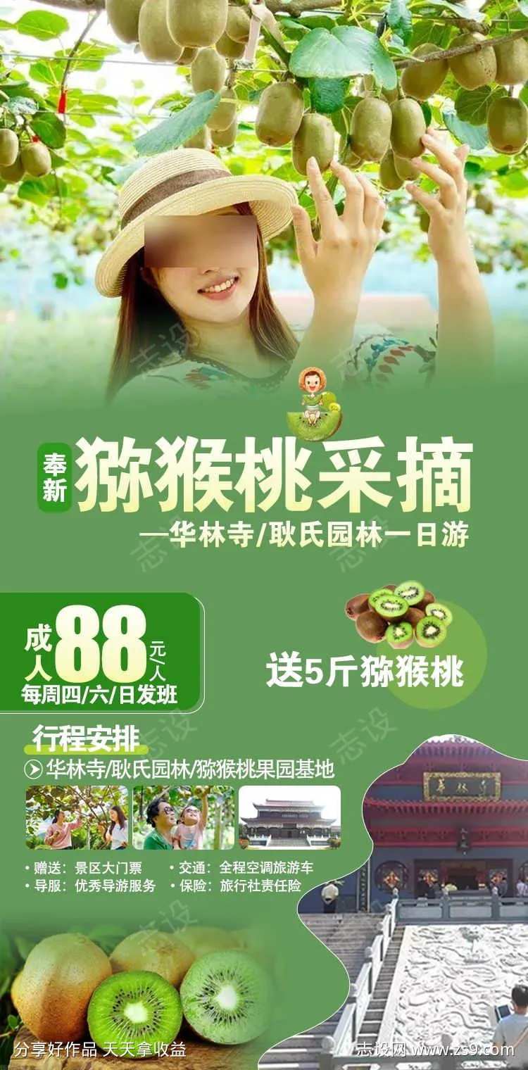 宜春猕猴桃采摘海报-采灵感-cailinggan.com