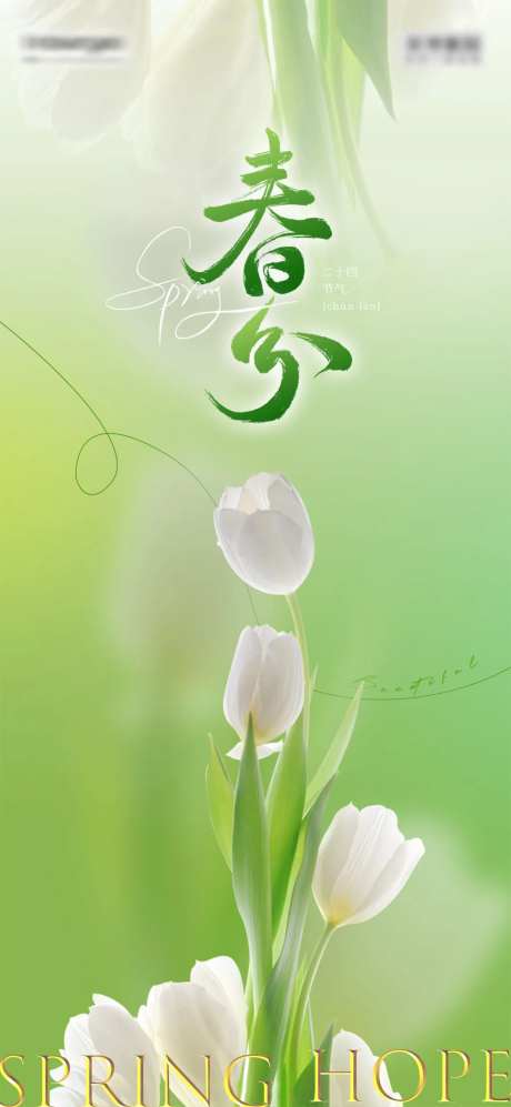 春分绿色清新海报-采灵感-https://www.cailinggan.com/