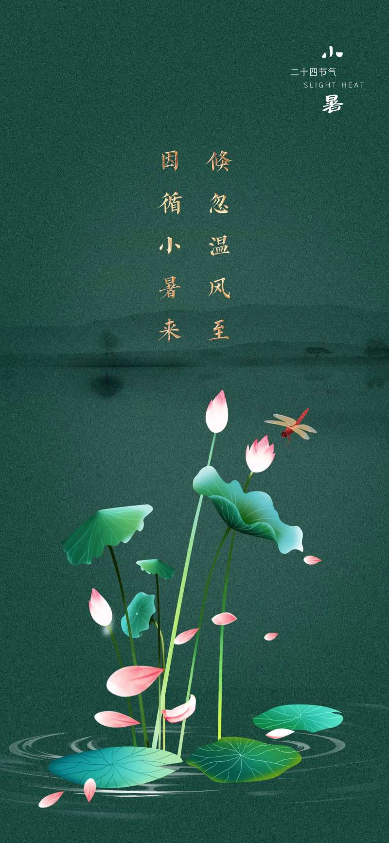 小暑节气移动端海报-采灵感-cailinggan.com