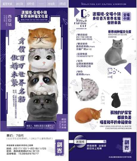 宠物猫咪票券-采灵感-https://www.cailinggan.com/