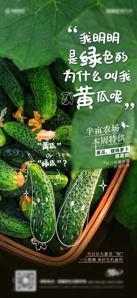 蔬菜农场黄瓜海报-采灵感-https://www.cailinggan.com/