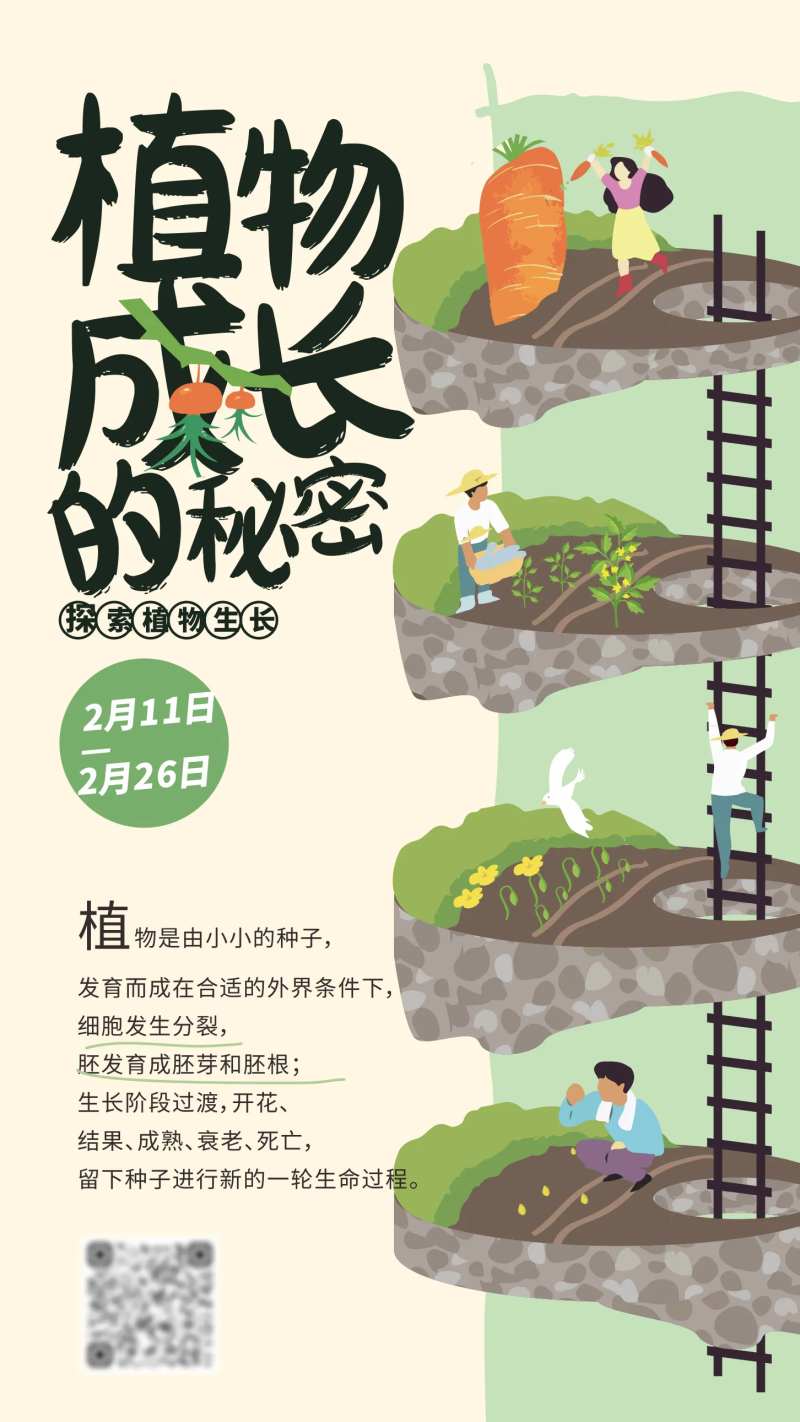 儿童绘画手工活动植物生长的秘密海报-采灵感-cailinggan.com