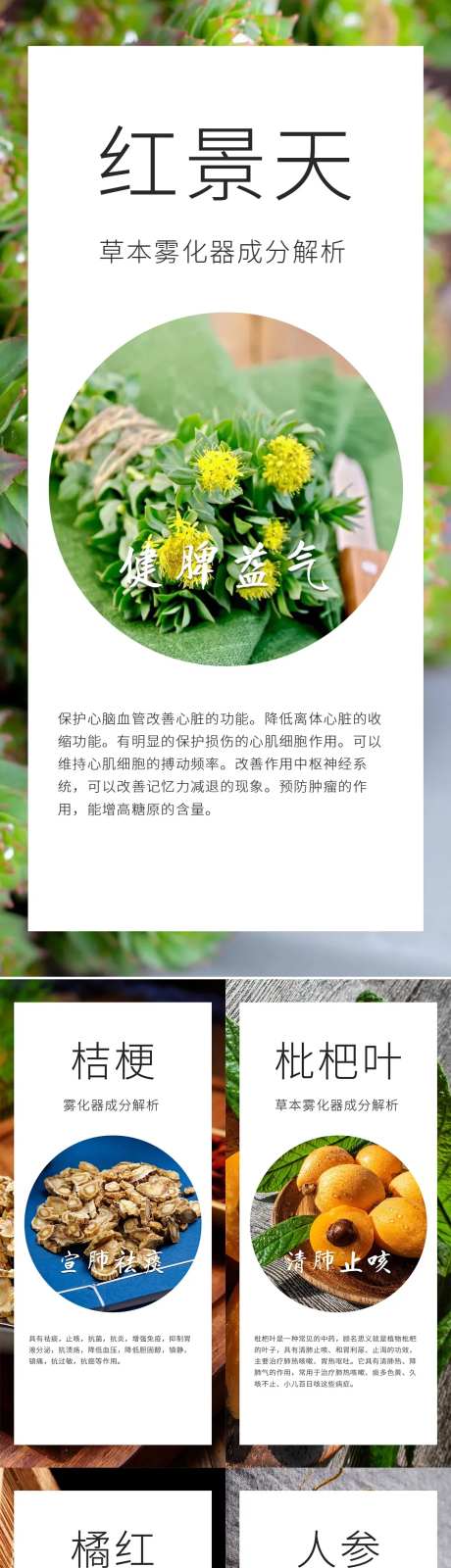 中草药雾化器成分介绍-采灵感-https://www.cailinggan.com/
