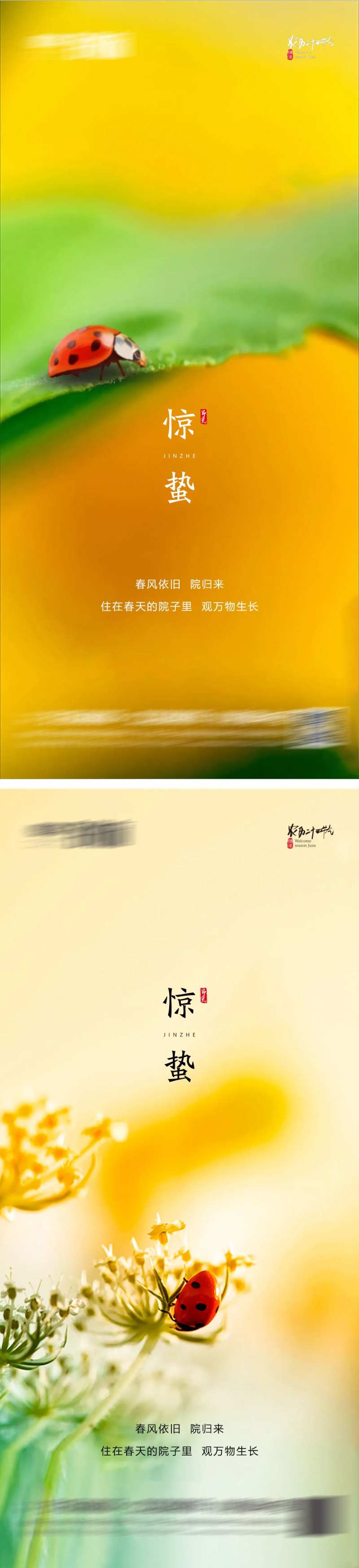 惊蛰-采灵感-cailinggan.com