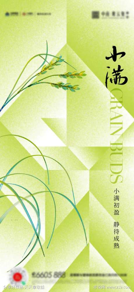 小满芒种夏至海报-采灵感-cailinggan.com