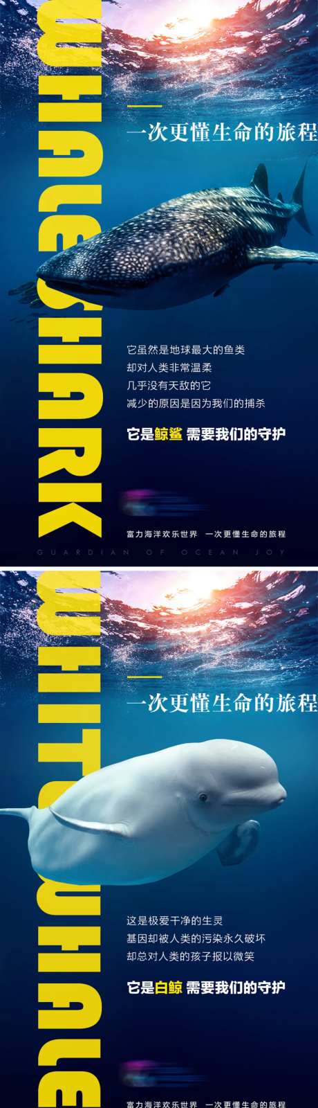 海洋世界系列海报-采灵感-https://www.cailinggan.com/