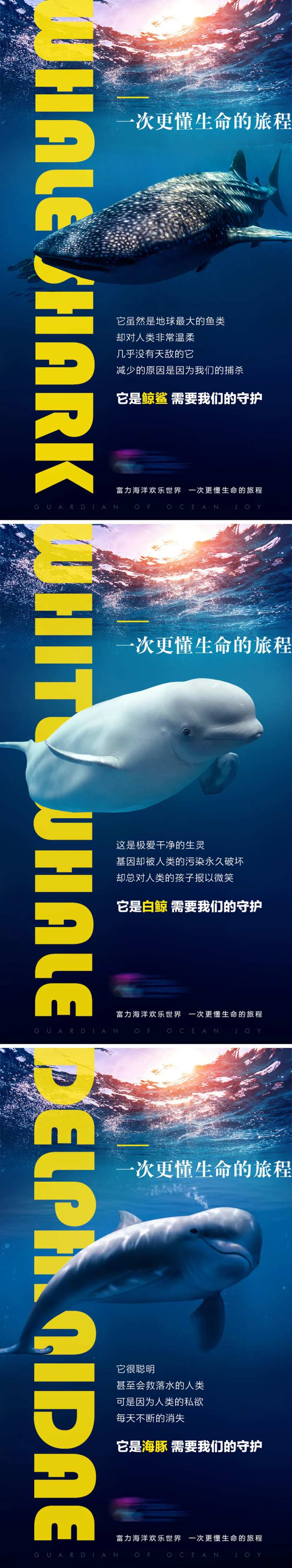 海洋世界系列海报-采灵感-cailinggan.com