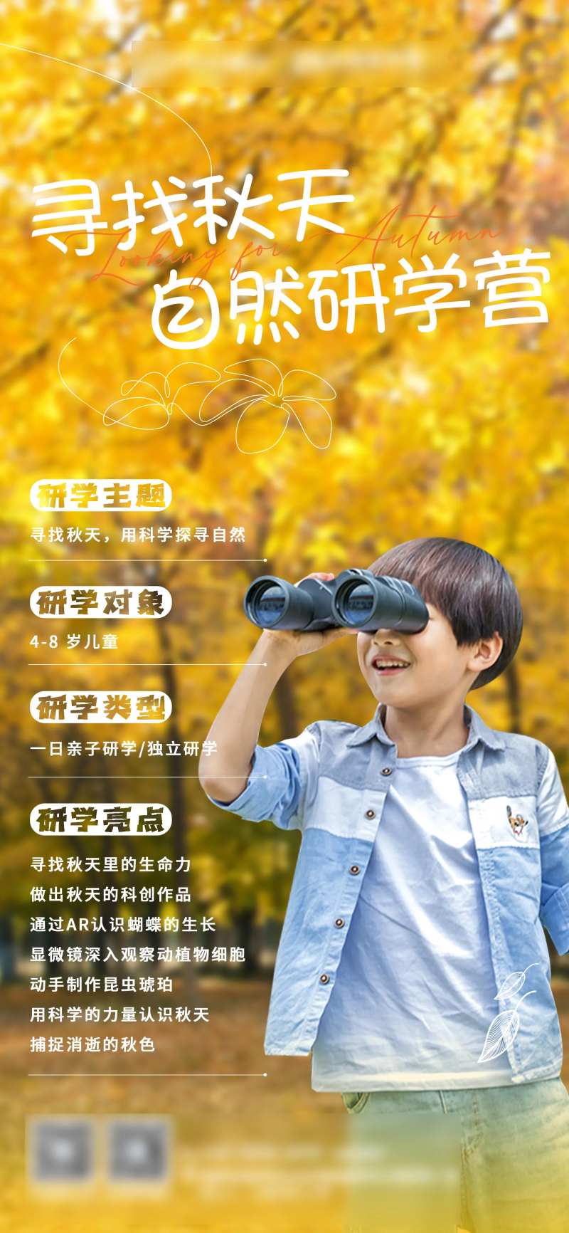 寻找秋天旅游海报-采灵感-cailinggan.com