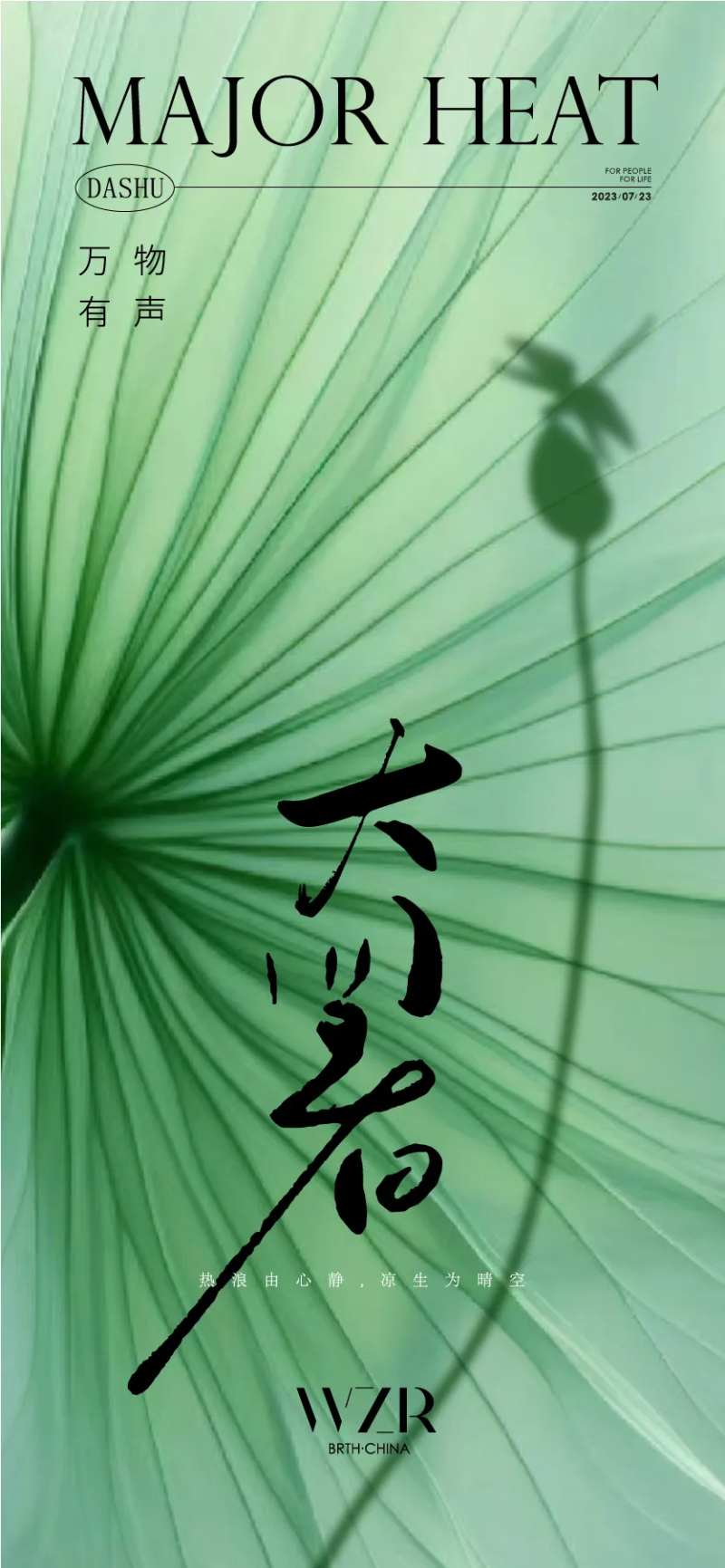 大暑荷叶海报-采灵感-cailinggan.com