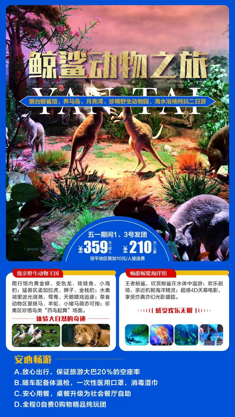 旅游海报旅行海边动物鲸鲨-采灵感-cailinggan.com
