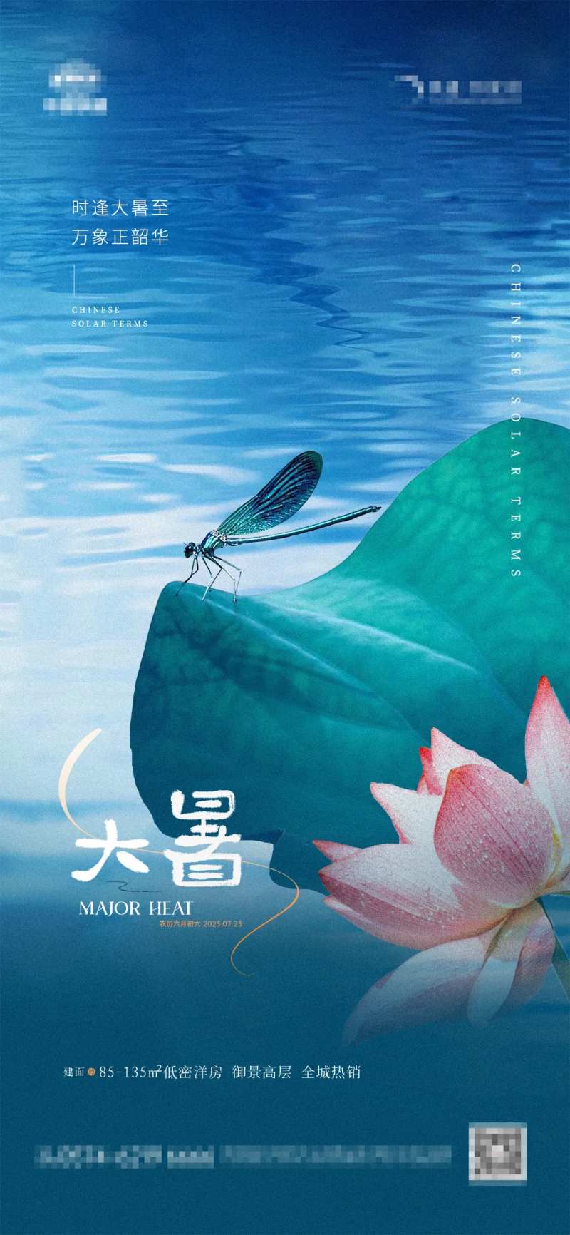 地产大暑荷塘夜色海报-采灵感-cailinggan.com