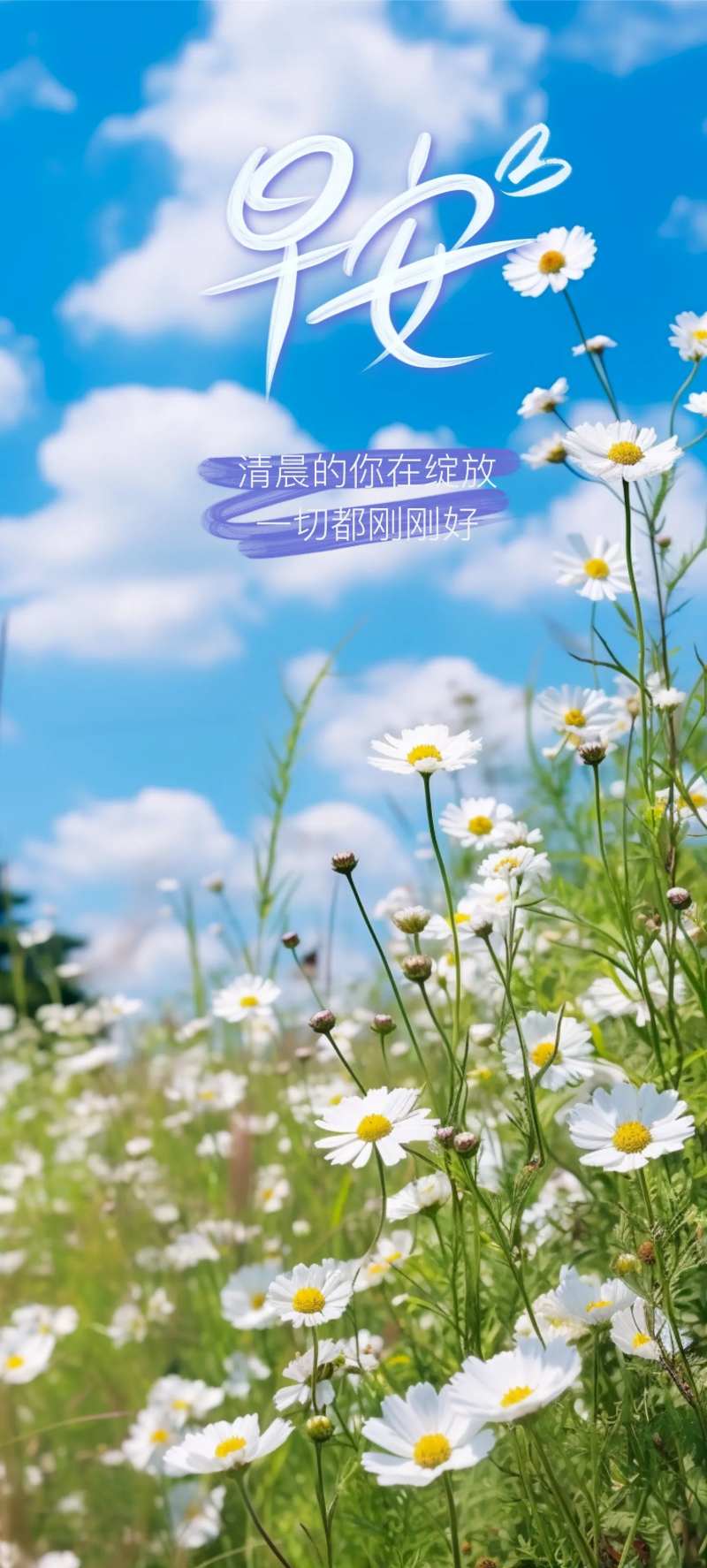 早安语录小清新海报-采灵感-cailinggan.com