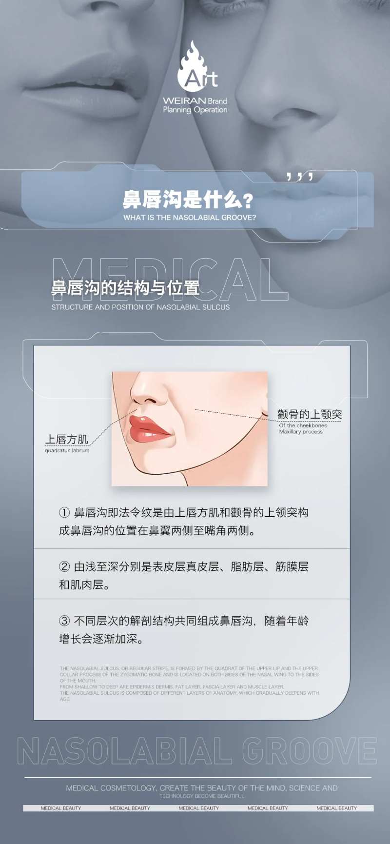 医美鼻唇沟科普海报-采灵感-cailinggan.com