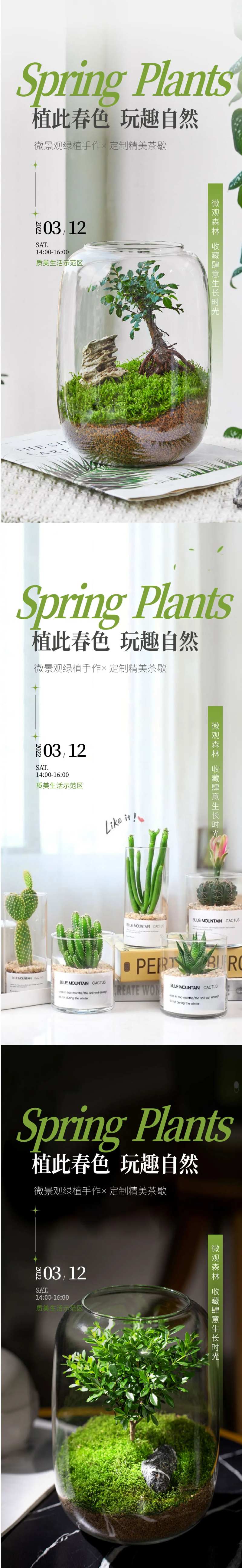 微景观绿植DIY秘密花园海报-采灵感-cailinggan.com